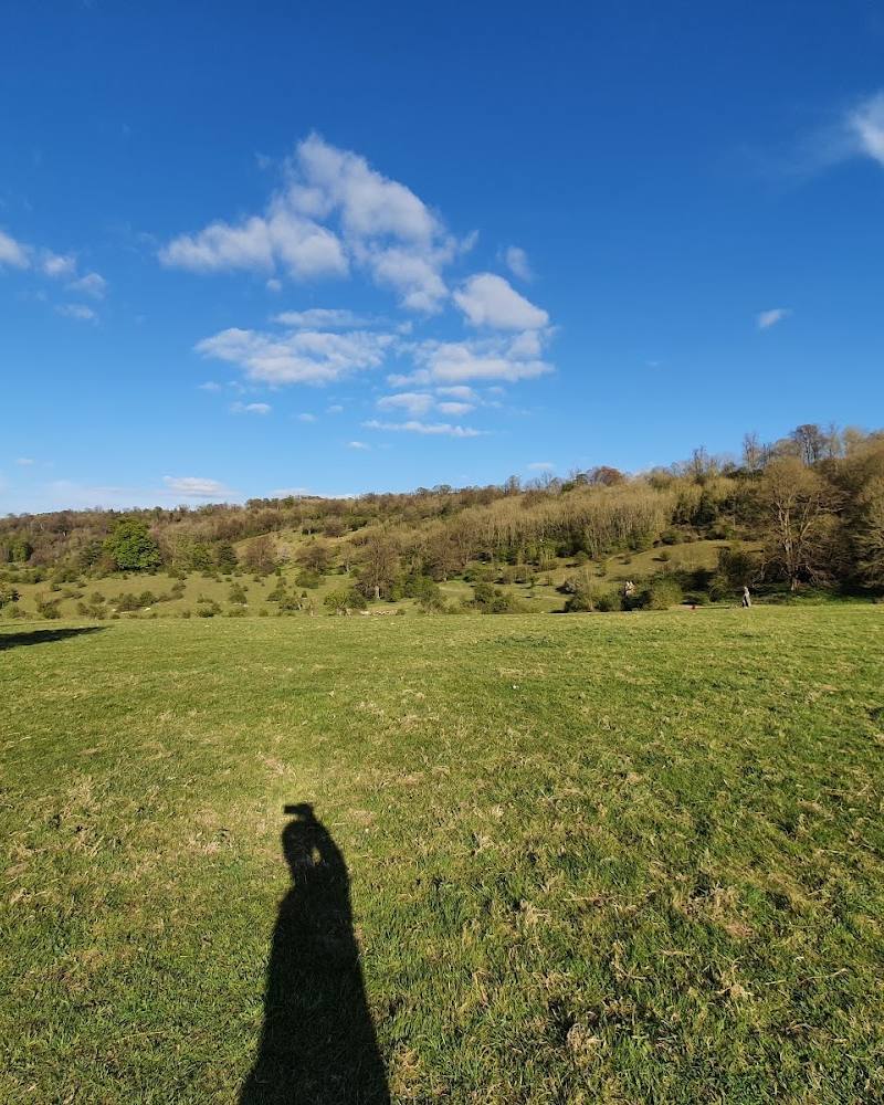 Tring Park — Source image