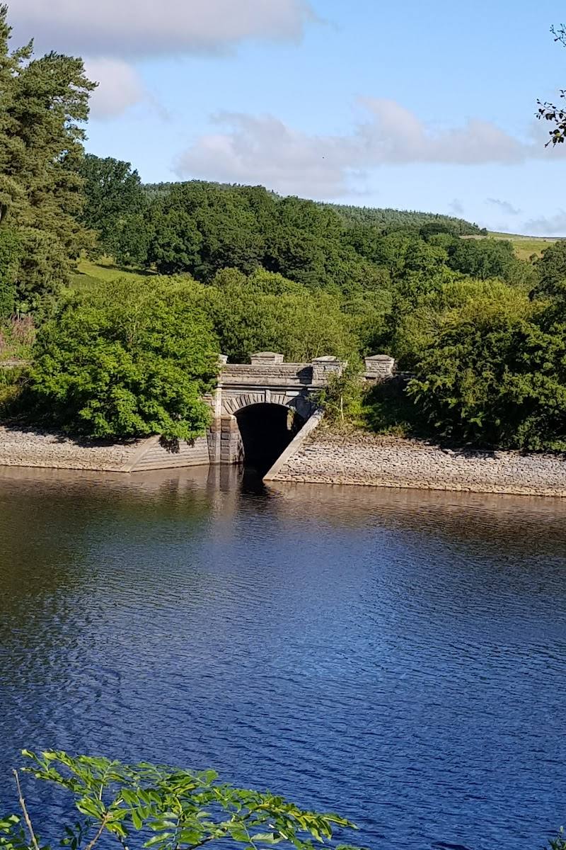 Tunstall Reservoir