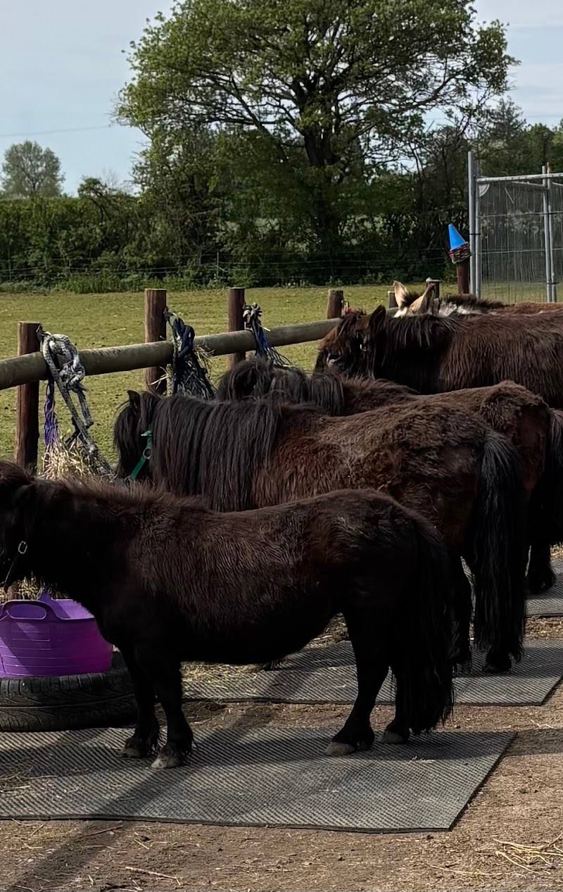 Twinnies Petting Farm — Place photograph (1 of 3)