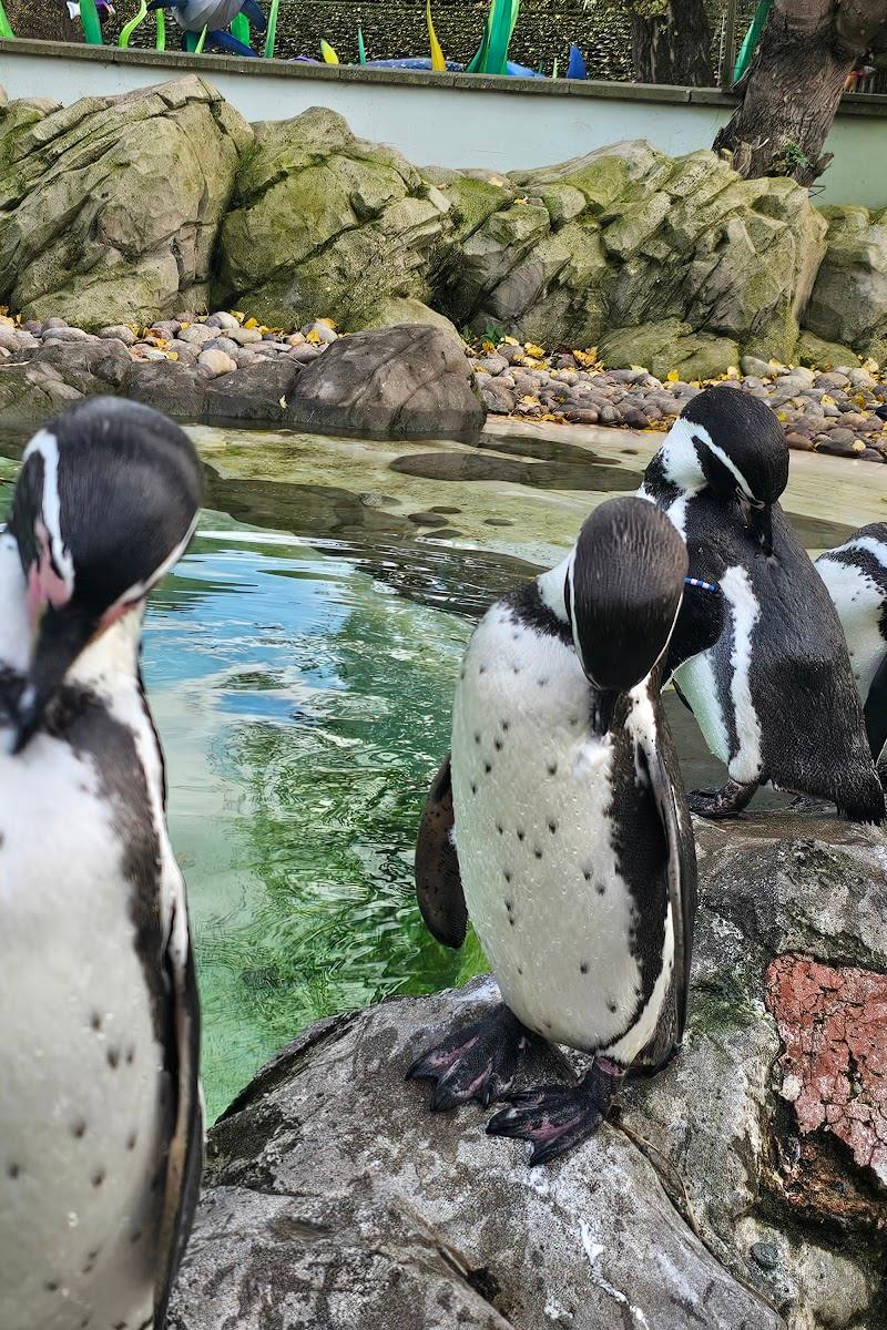 Twycross Zoo — Place photograph