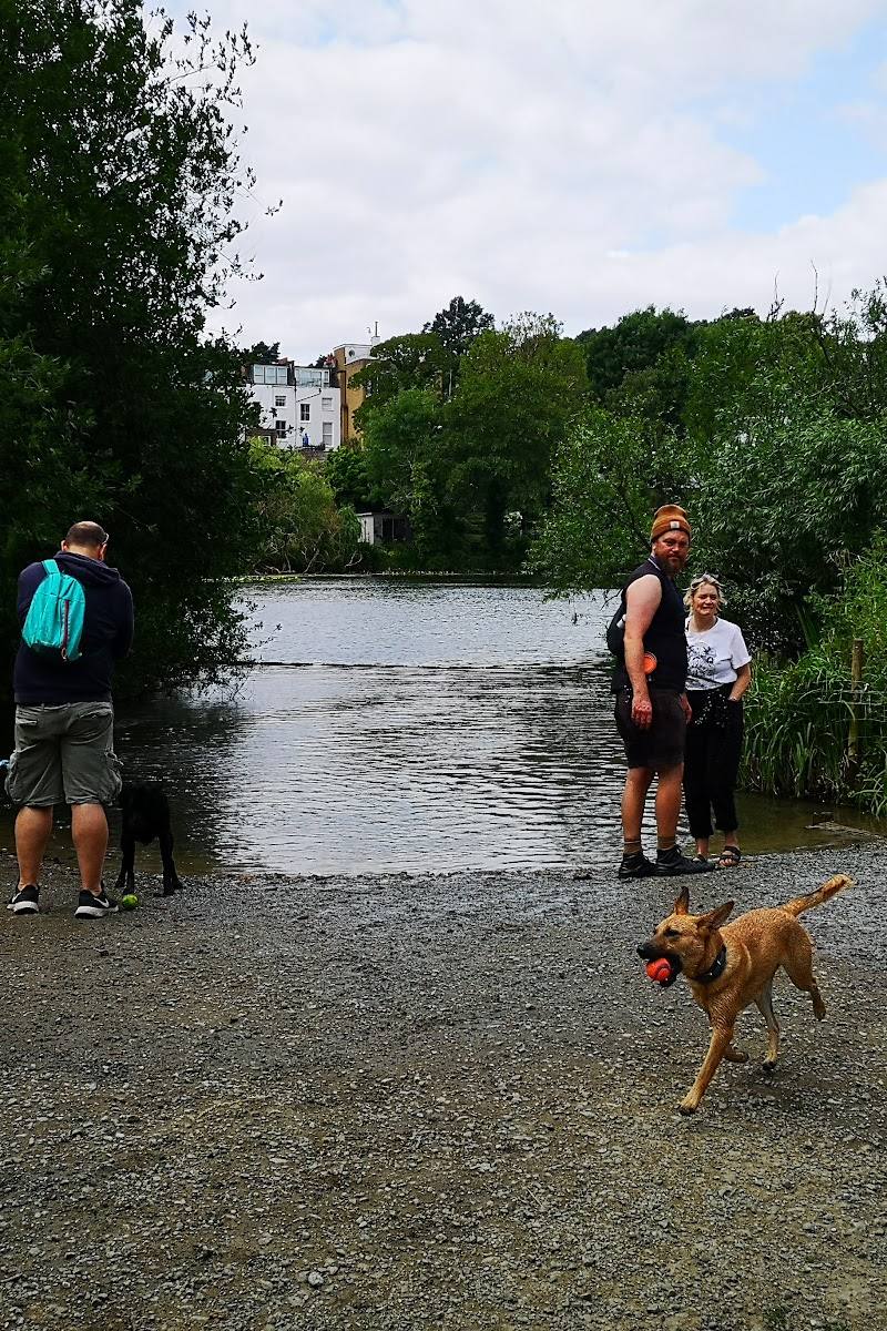 Vale of Health Pond — Place photograph