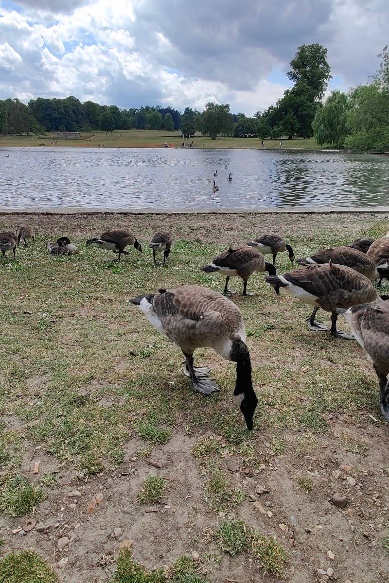 Verulamium Lake