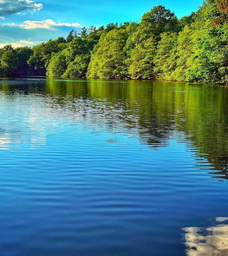 Virginia Water Lake — Place photograph