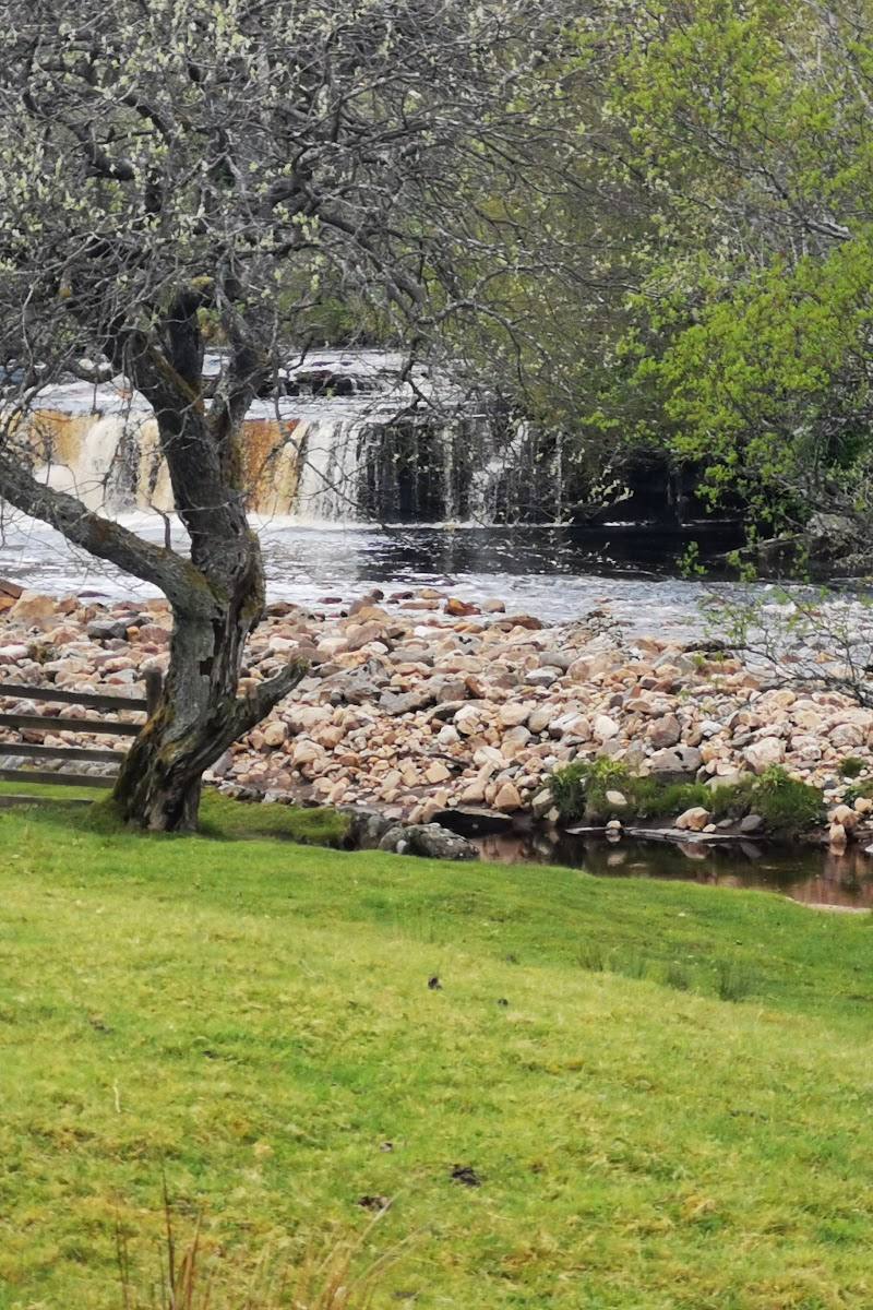 Wain Wath Force