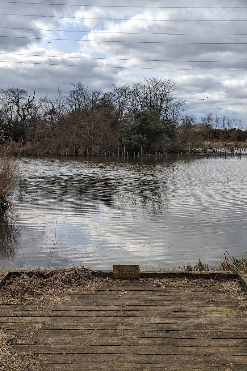 Walthamstow Reservoirs