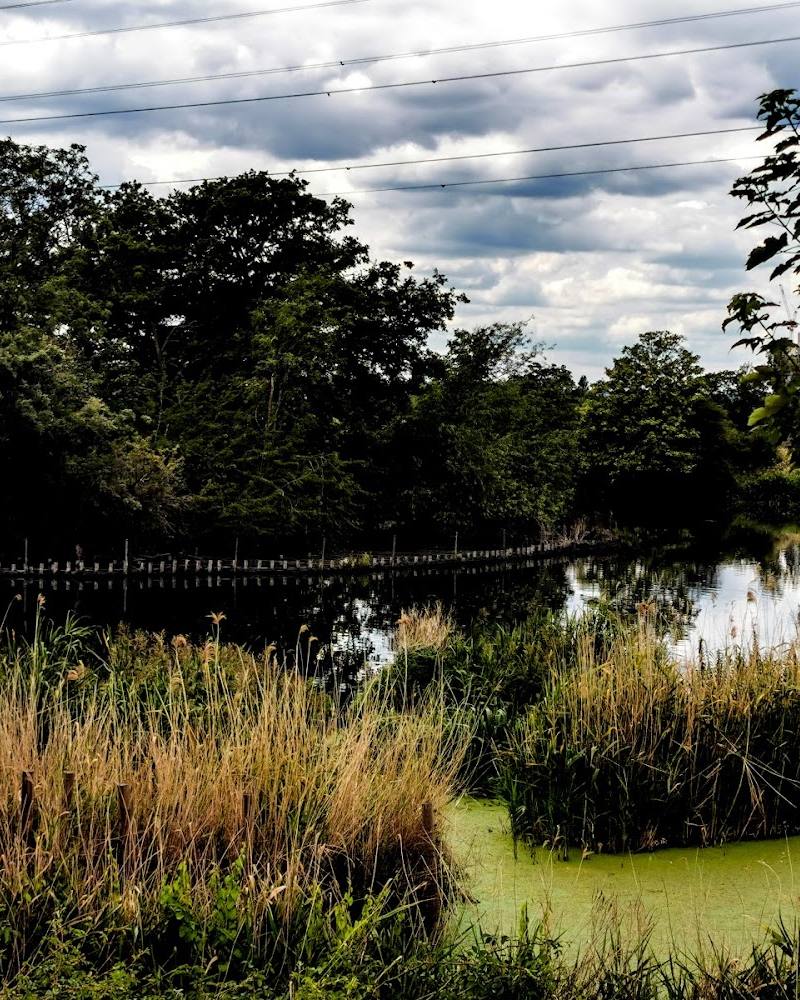Walthamstow Wetlands — Lockwood Way entrance — Source image