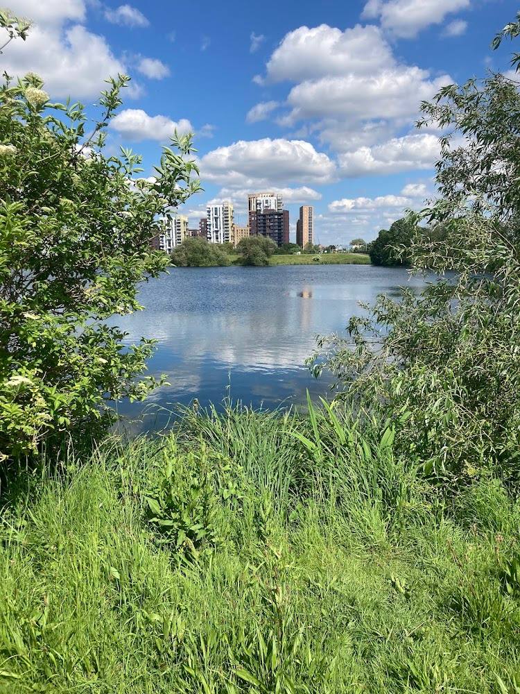 Walthamstow Wetlands — Source image