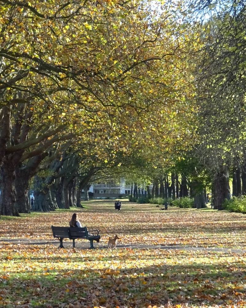 Wandsworth Park — Source image
