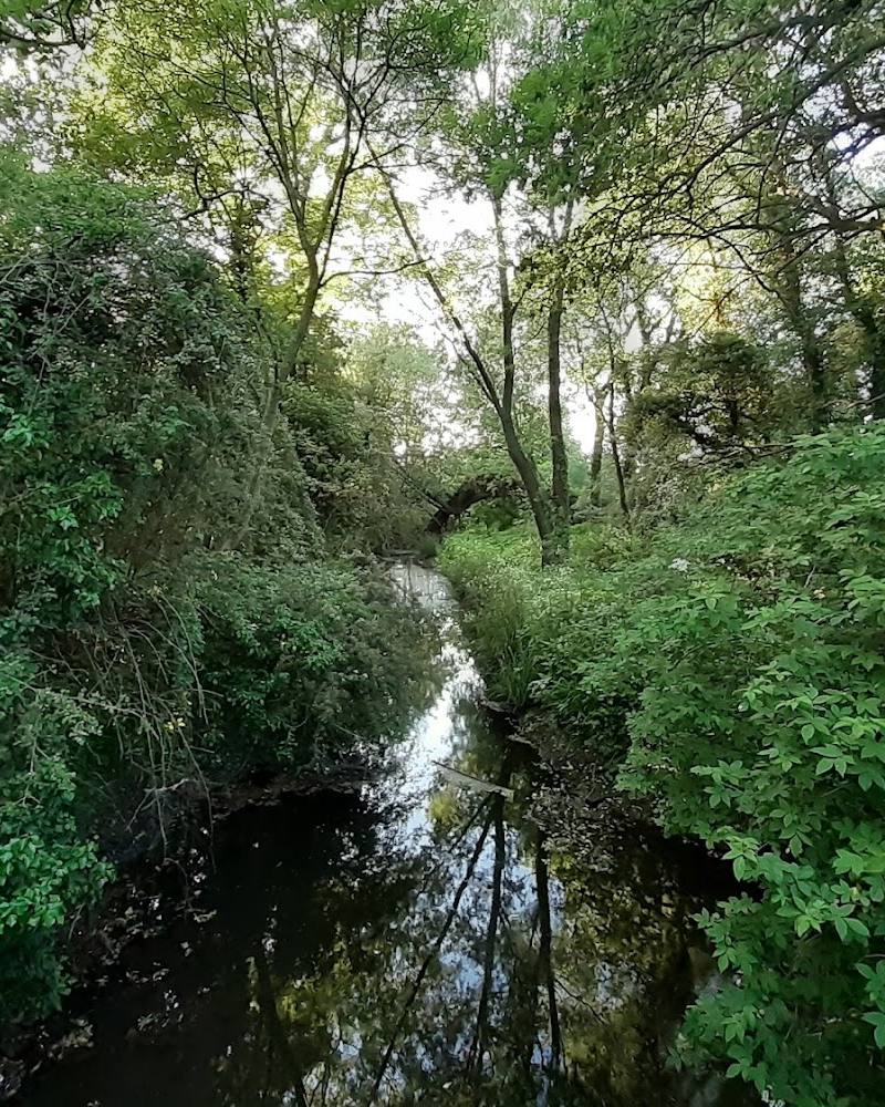 Wash Lane Common Nature Reserve — Source image