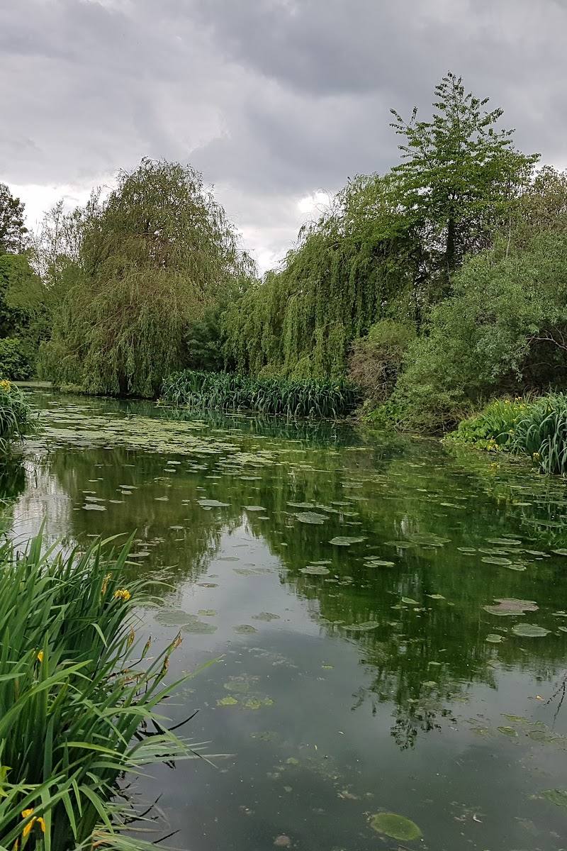 Watercress Wildlife Association