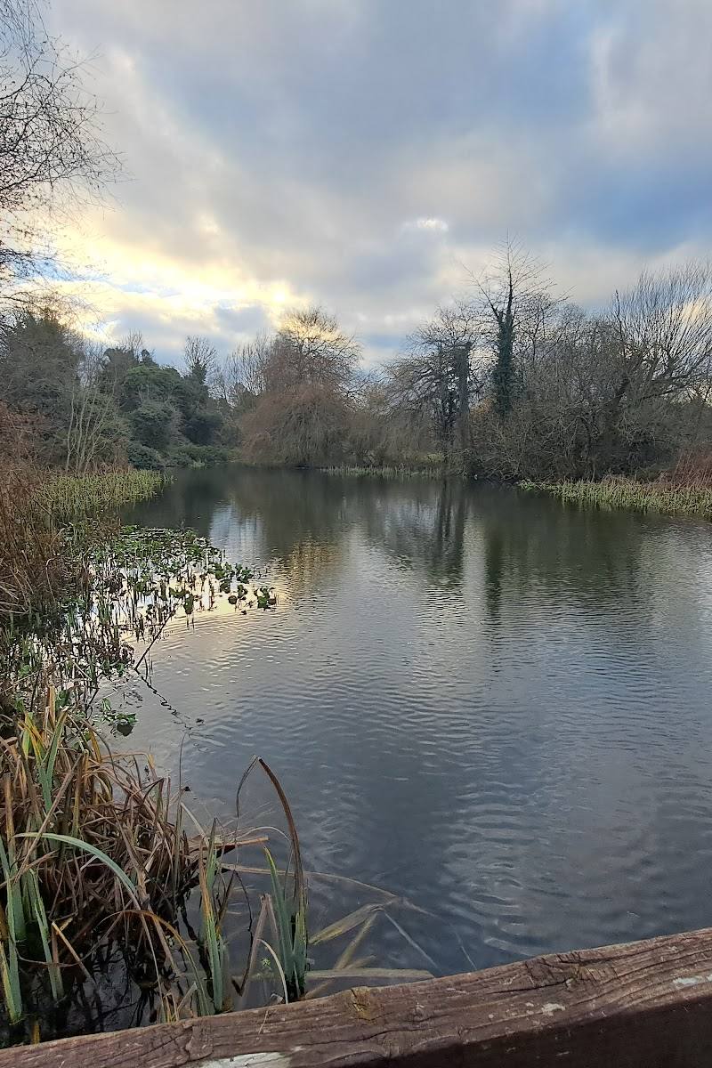 Watercress Wildlife Association