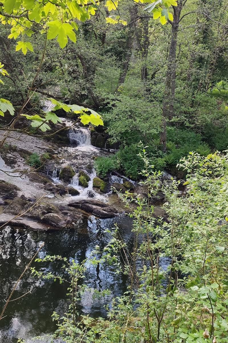 Waun Capel Park Wildlife Walk — Place photograph