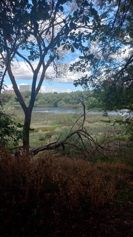 Welsh Harp Habitat Restoration Area — Source image