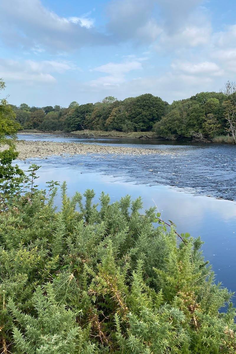 Welsh Wildlife Centre