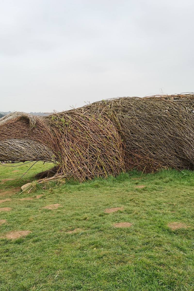 Welsh Wildlife Centre — Place photograph