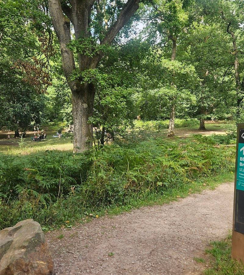 Wenchford Picnic Area — Place photograph (2 of 3)