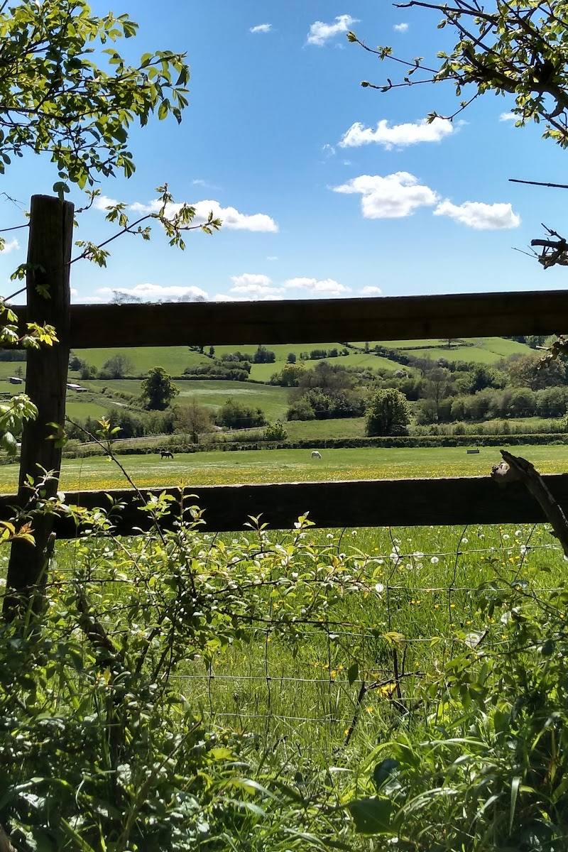 Wenlock Edge — Place photograph (3 of 3)