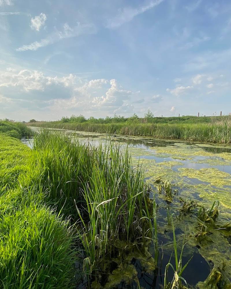 Rainham Marshes Nature Reserve — Source image