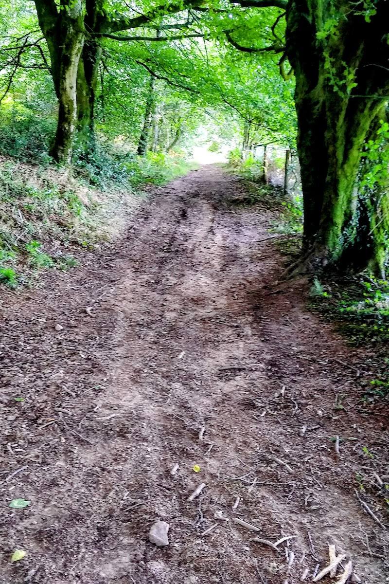 Wentwood