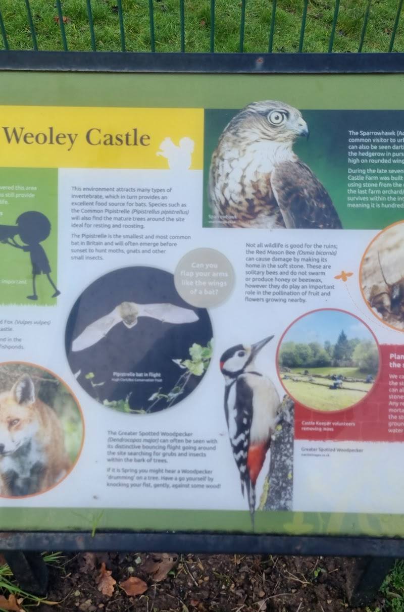 Weoley Castle Ruins — Place photograph (2 of 3)