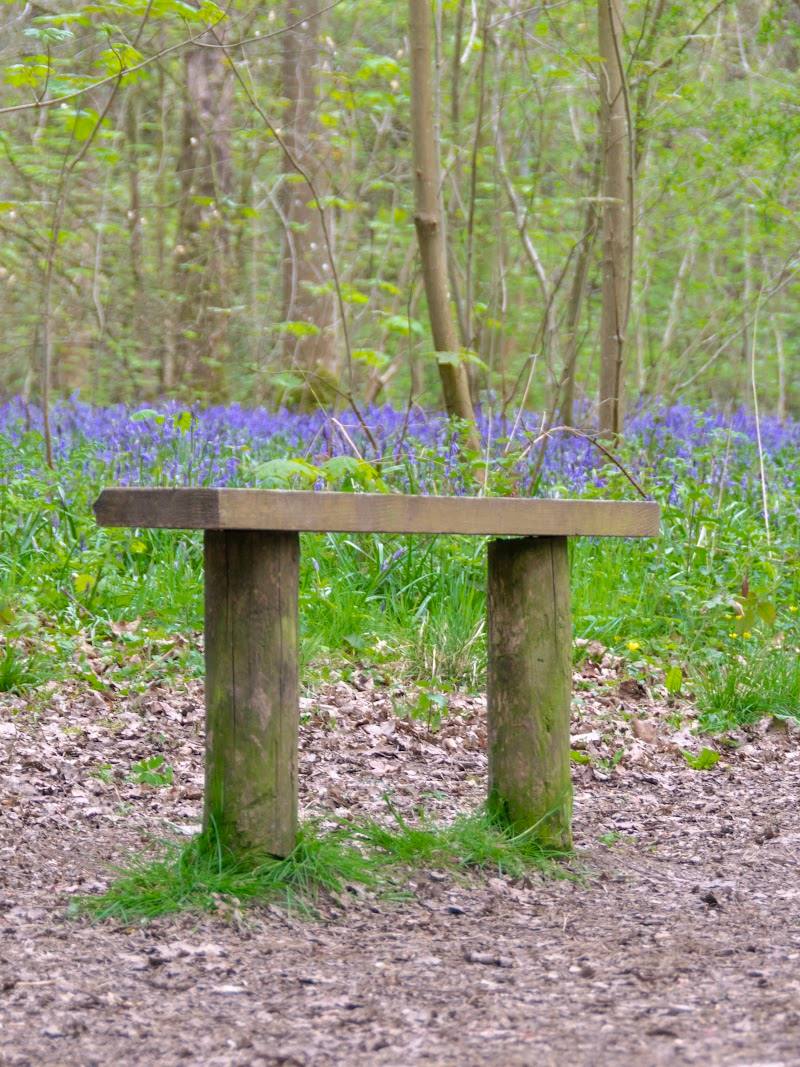 West Woods