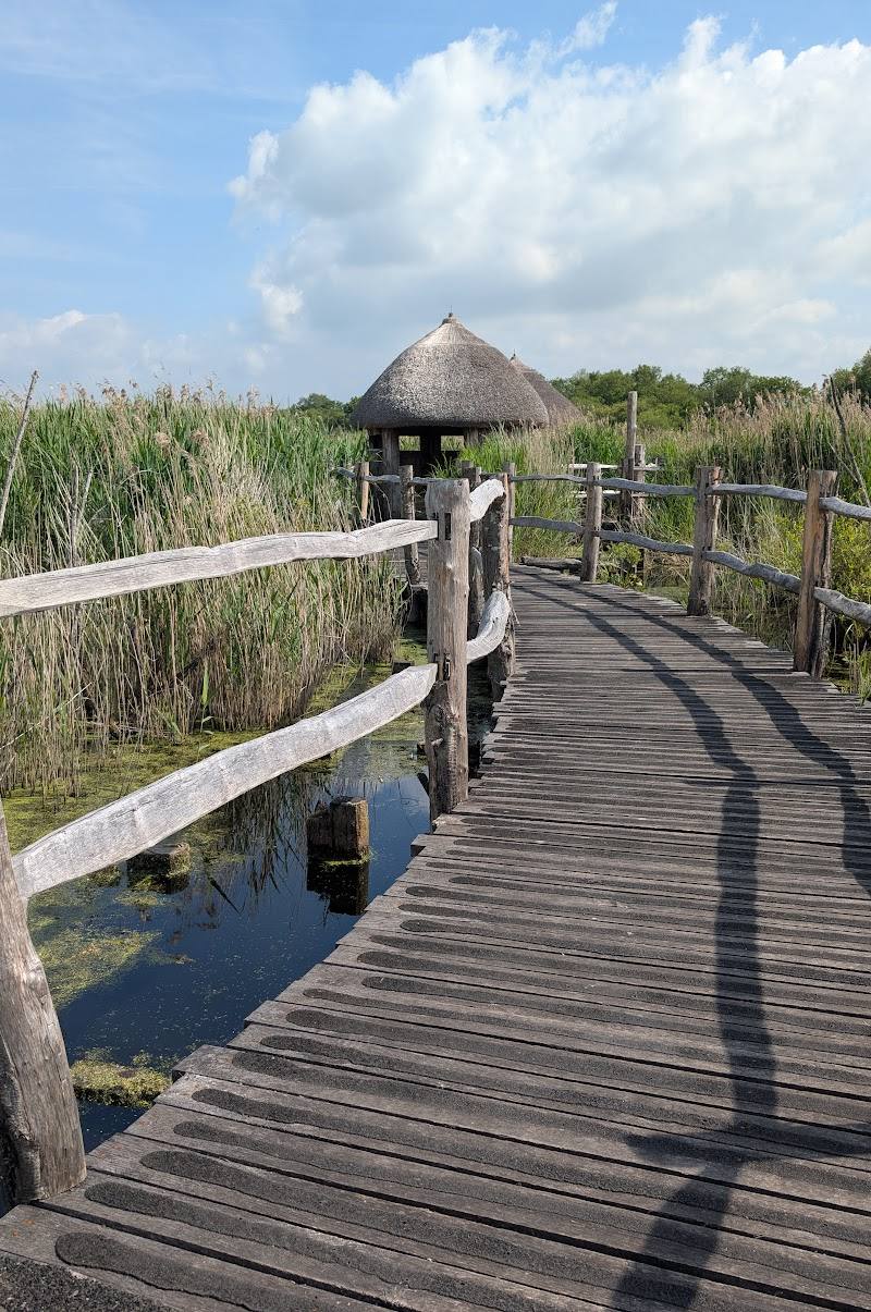 Westhay Moor National Nature Reserve