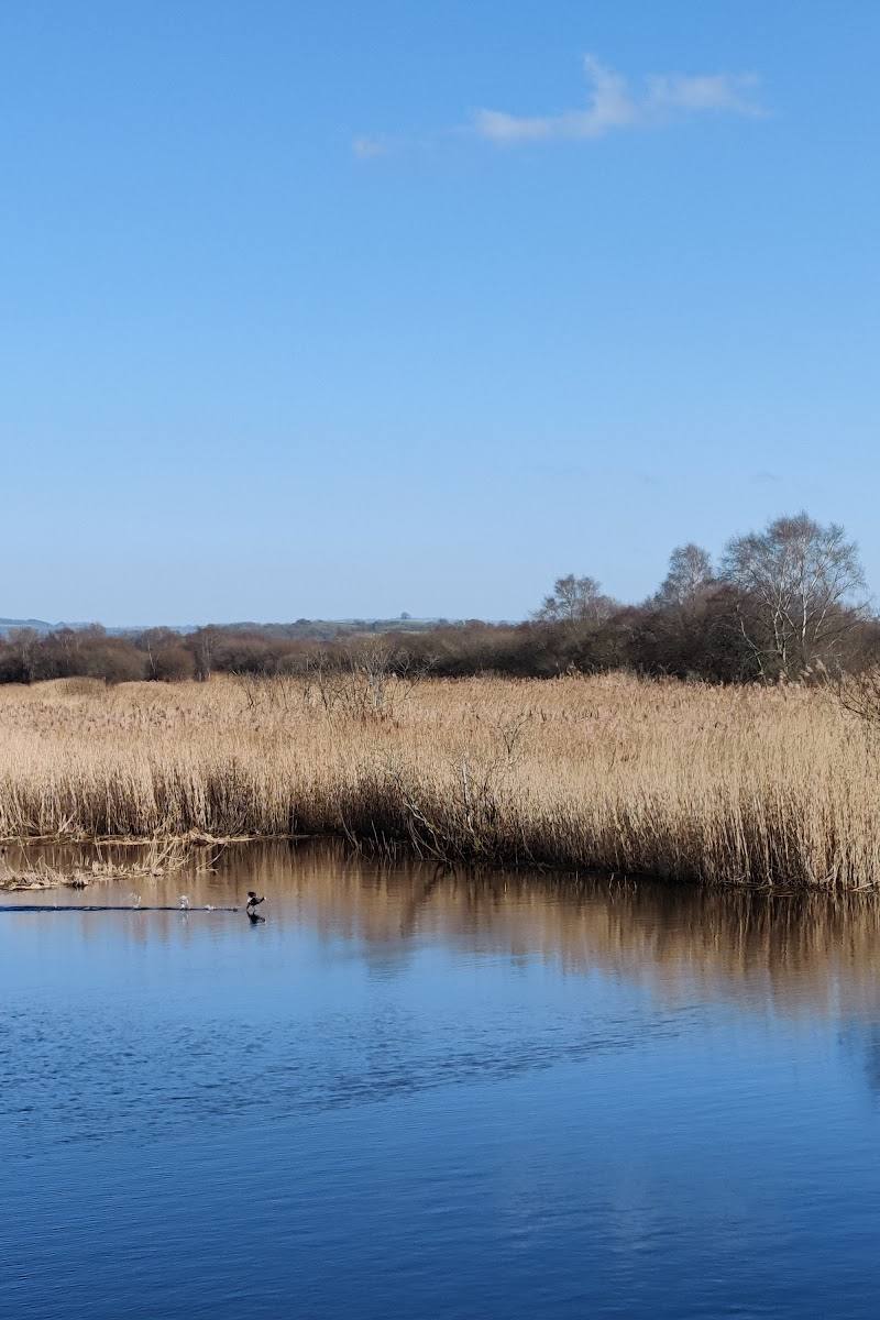 Westhay Moor National Nature Reserve — Place photograph