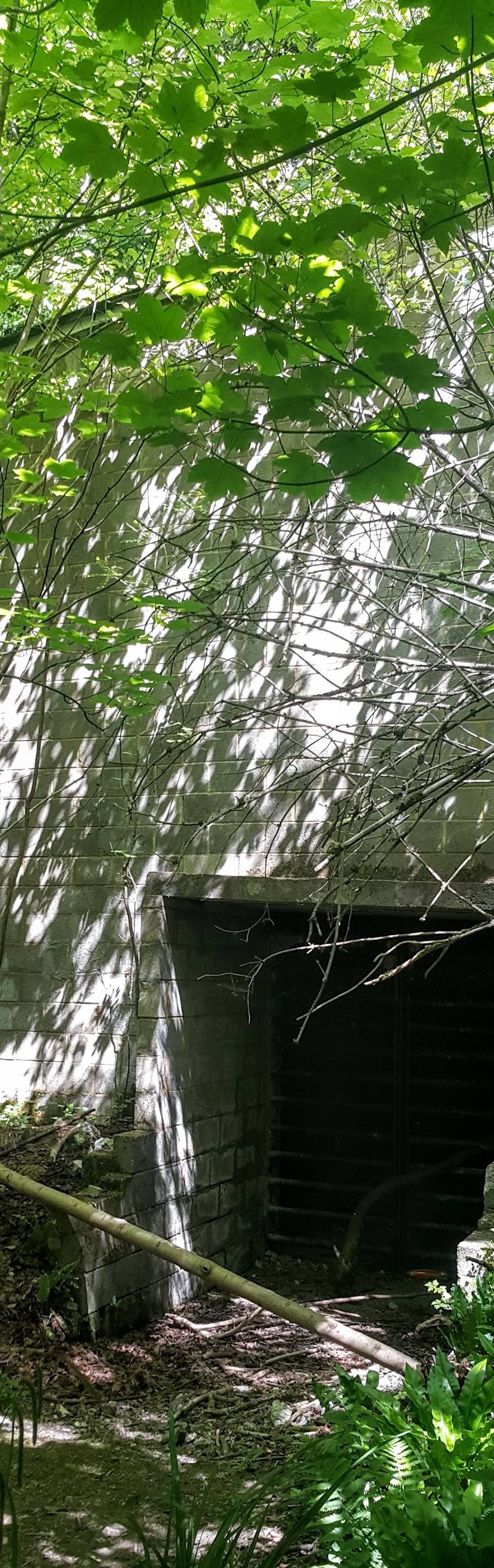 Westhumble Bat Cave — Place photograph (3 of 3)