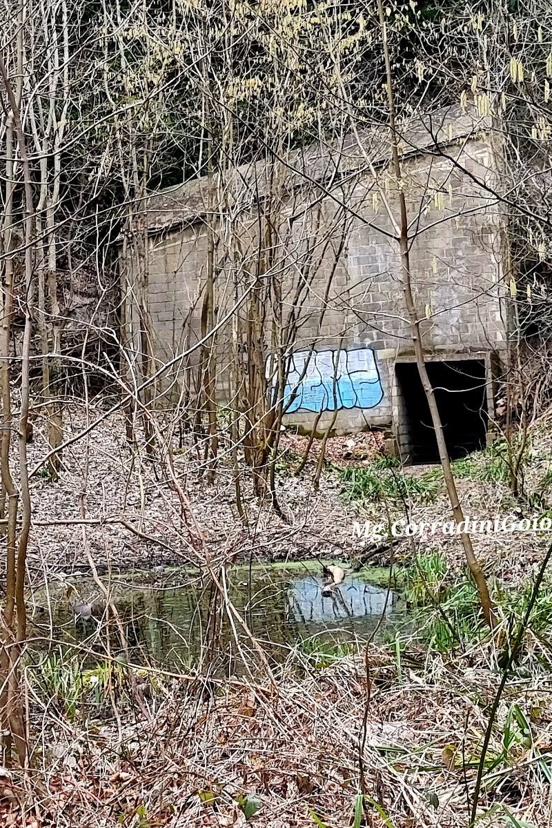 Westhumble Bat Cave — Place photograph