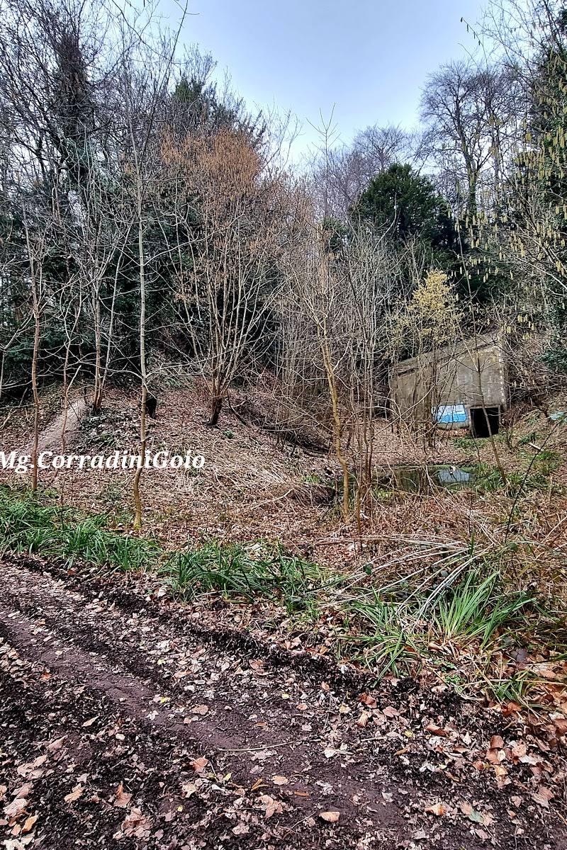 Westhumble Bat Cave — Place photograph (2 of 3)