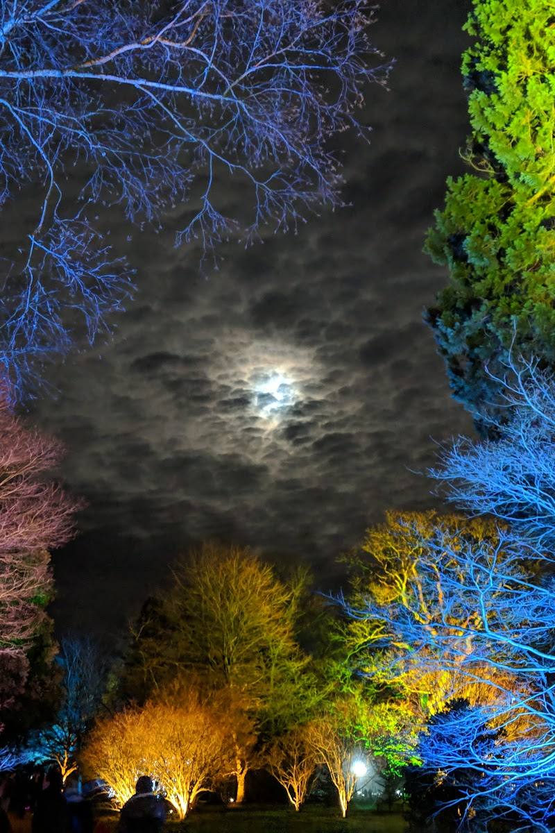 Westonbirt, The National Arboretum