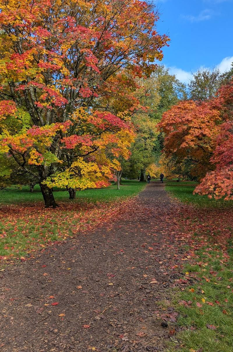 Westonbirt, The National Arboretum — Place photograph