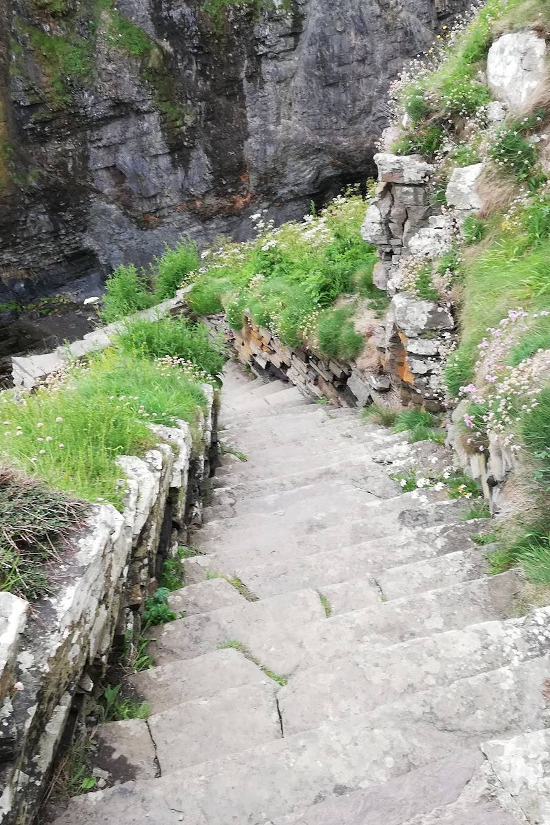 Whaligoe Steps
