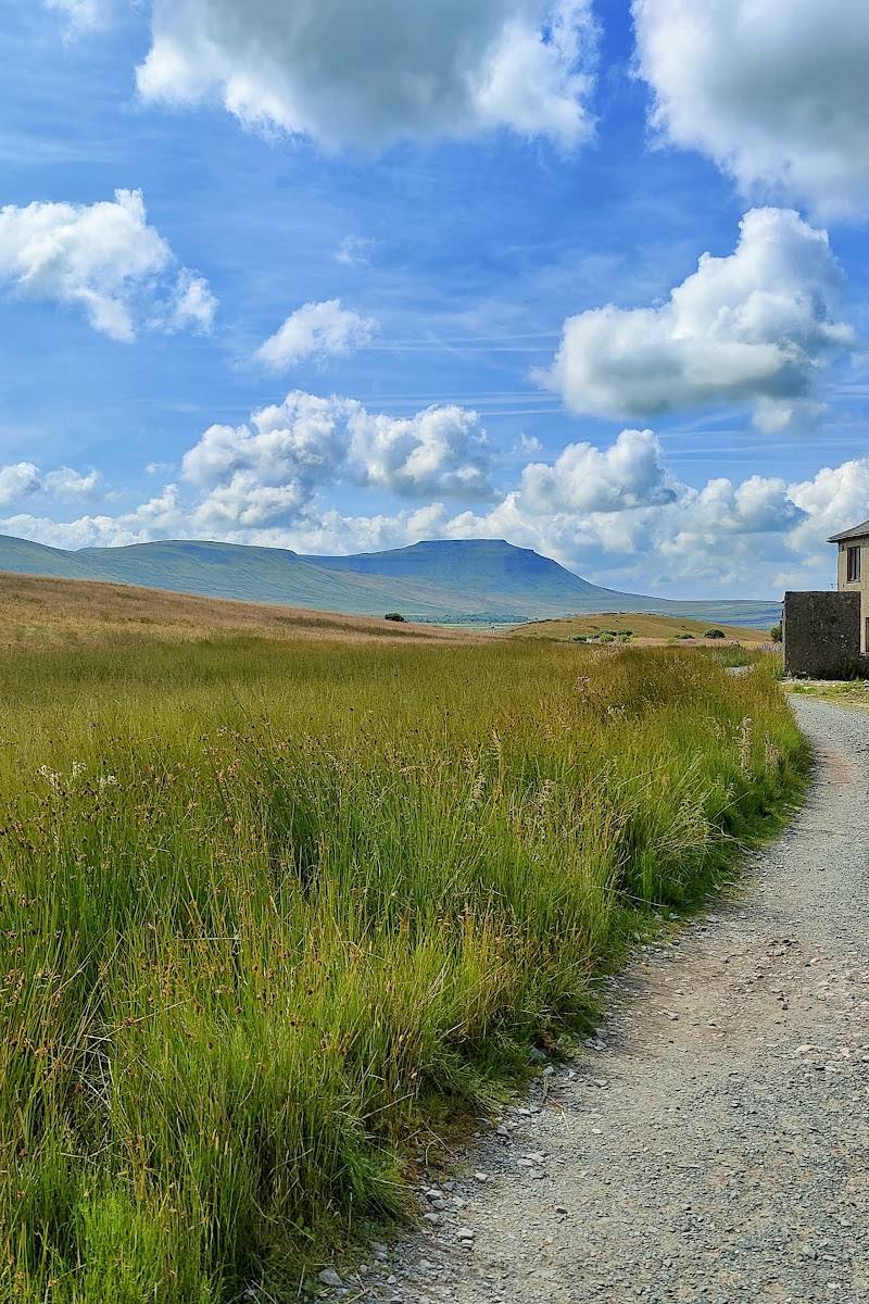 Whernside