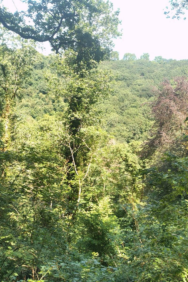 White Lady Waterfall, Lydford Gorge — Place photograph (2 of 3)