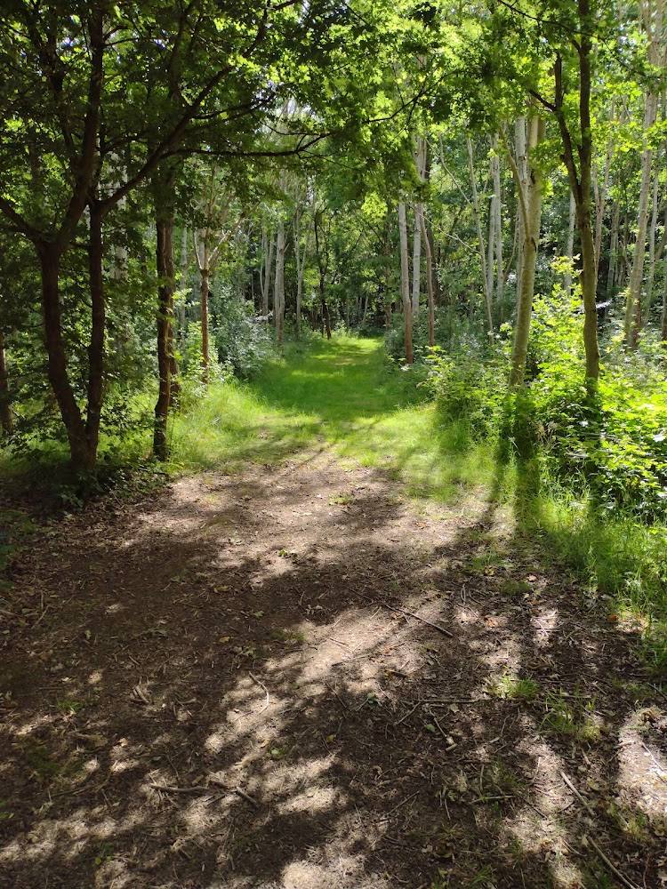 Whitings Wood — Source image