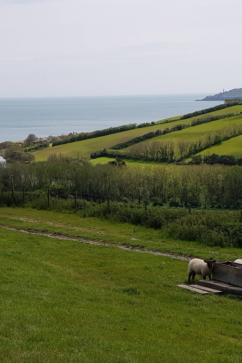 Widdicombe Ley — Place photograph