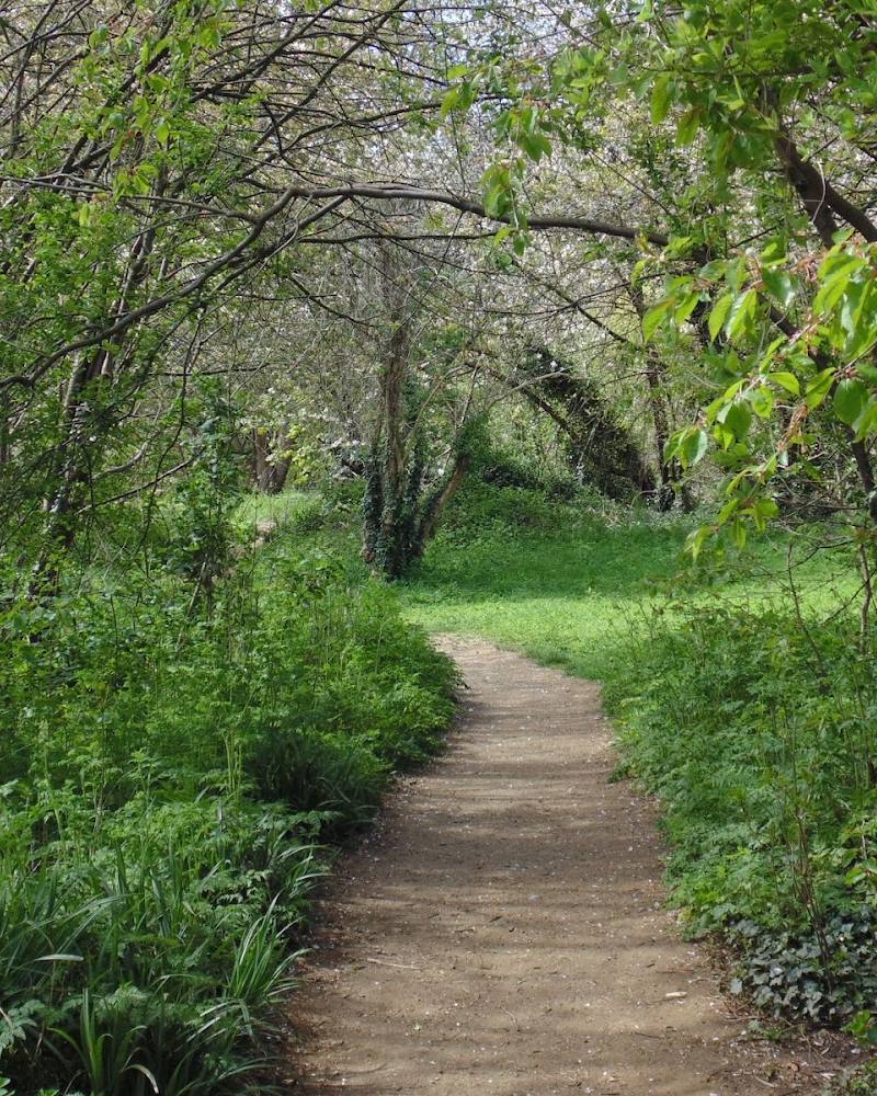 Wilderness Island — Source image