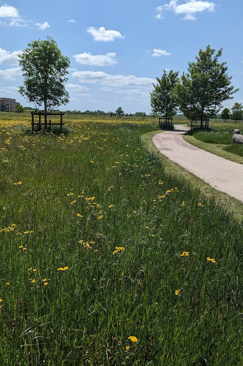 Wildlife Trust BCN - Trumpington Meadows