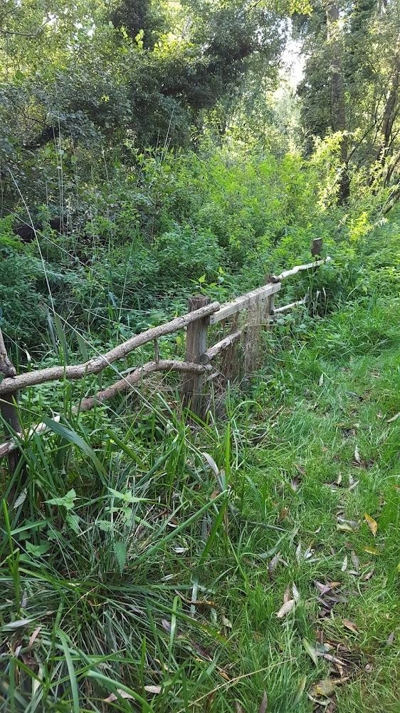 Willowmead — Source image