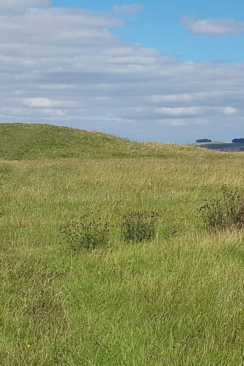 Windmill Hill — Place photograph