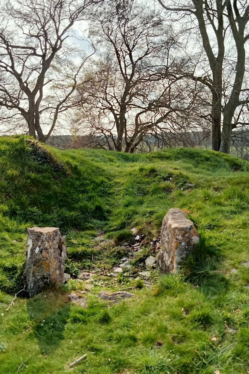 Windmill Tump - Rodmarton Long Barrow