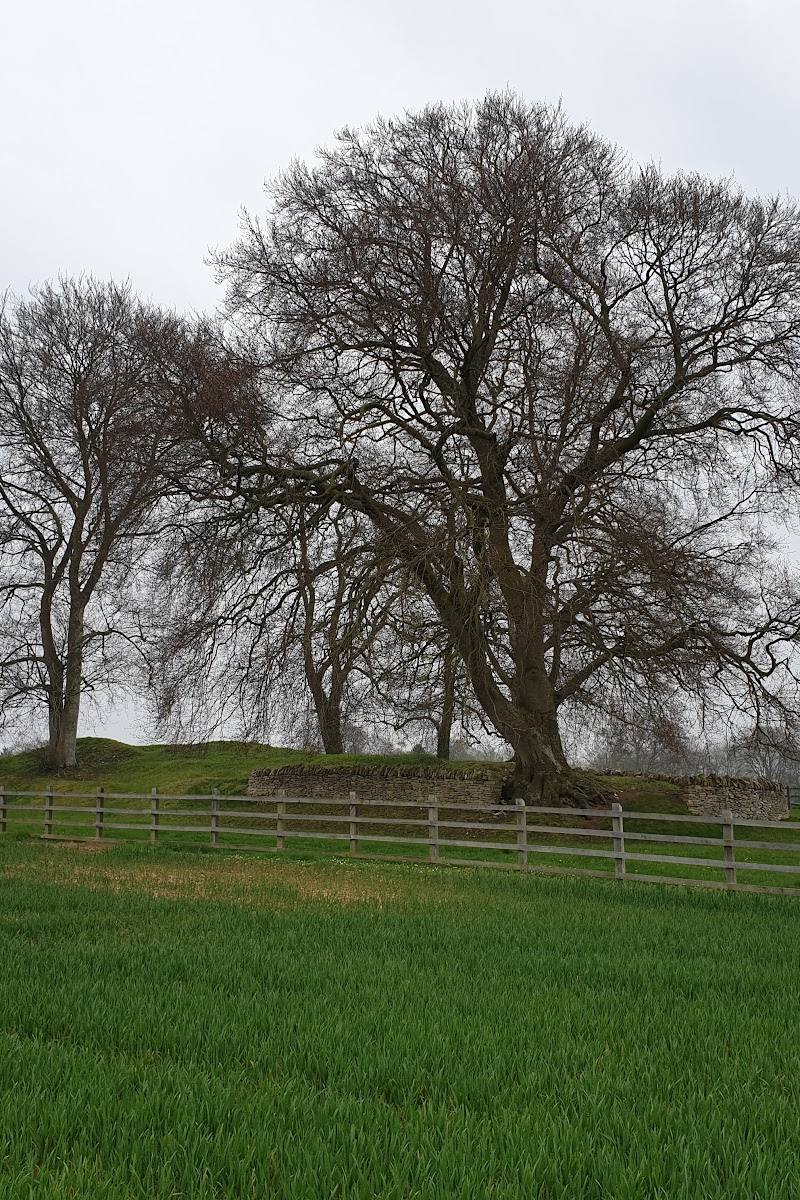 Windmill Tump Long Barrow — Place photograph