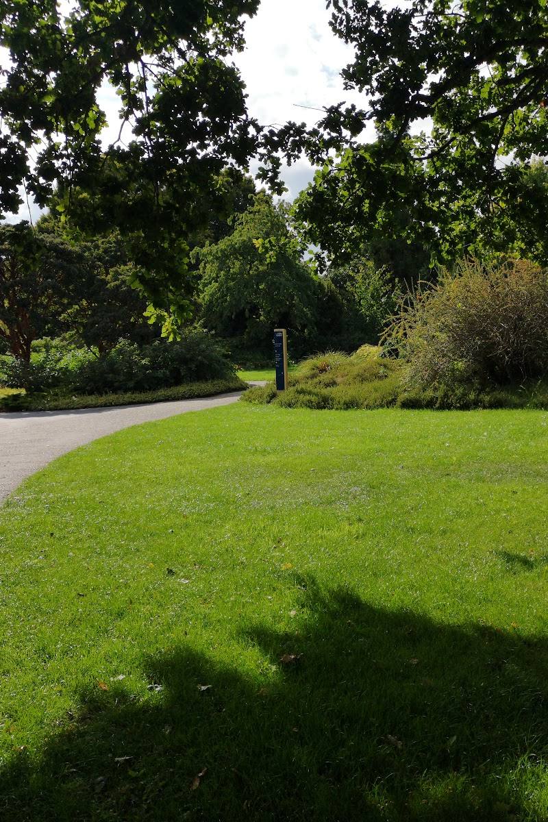 Winter Garden, Hillier Arboretum