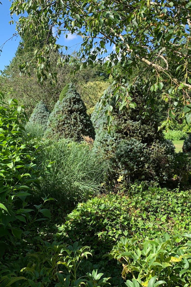 Winter Garden, Sir Harold Hillier Gardens — Place photograph