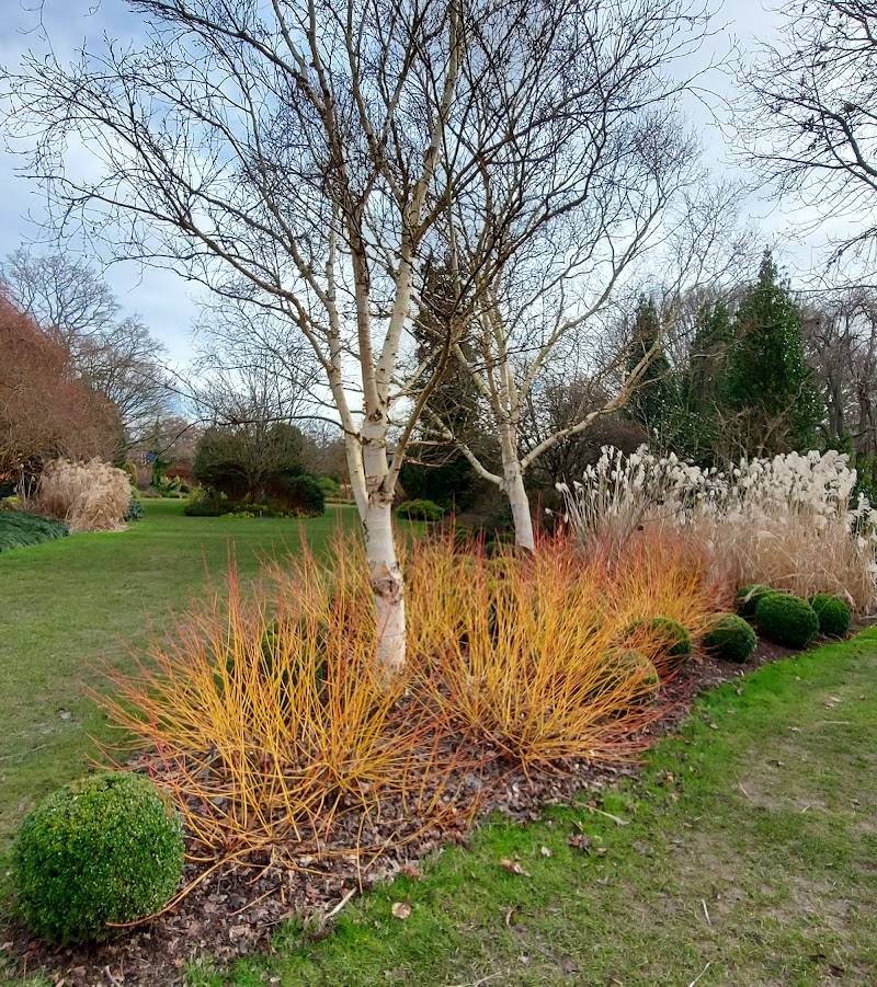 Winter Garden, Hillier Arboretum
