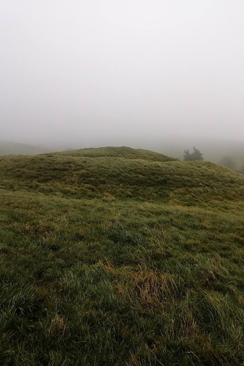 Winterbourne Poor Lot Barrows — Place photograph