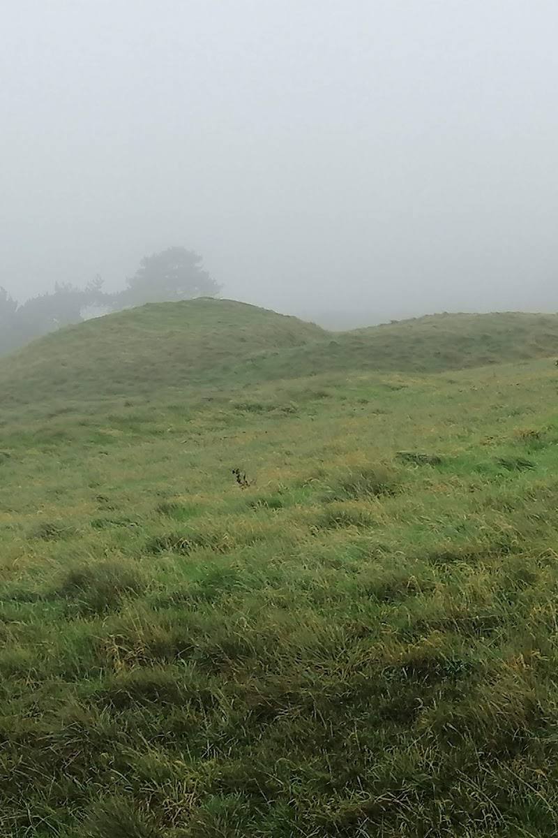 Winterbourne Poor Lot Barrows — Place photograph (2 of 3)