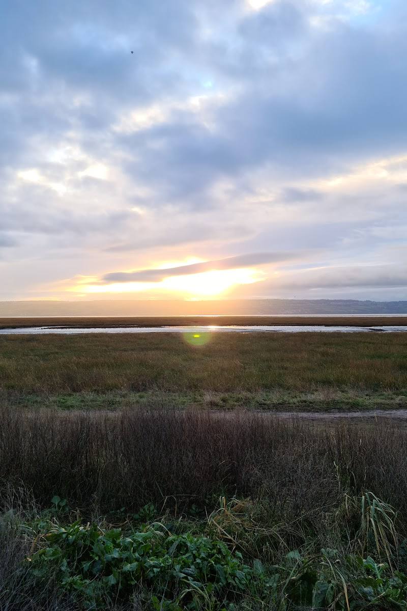 Wirral Country Park