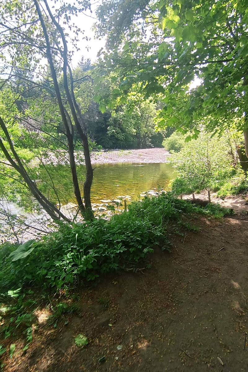 Witton Castle Lakes — Place photograph